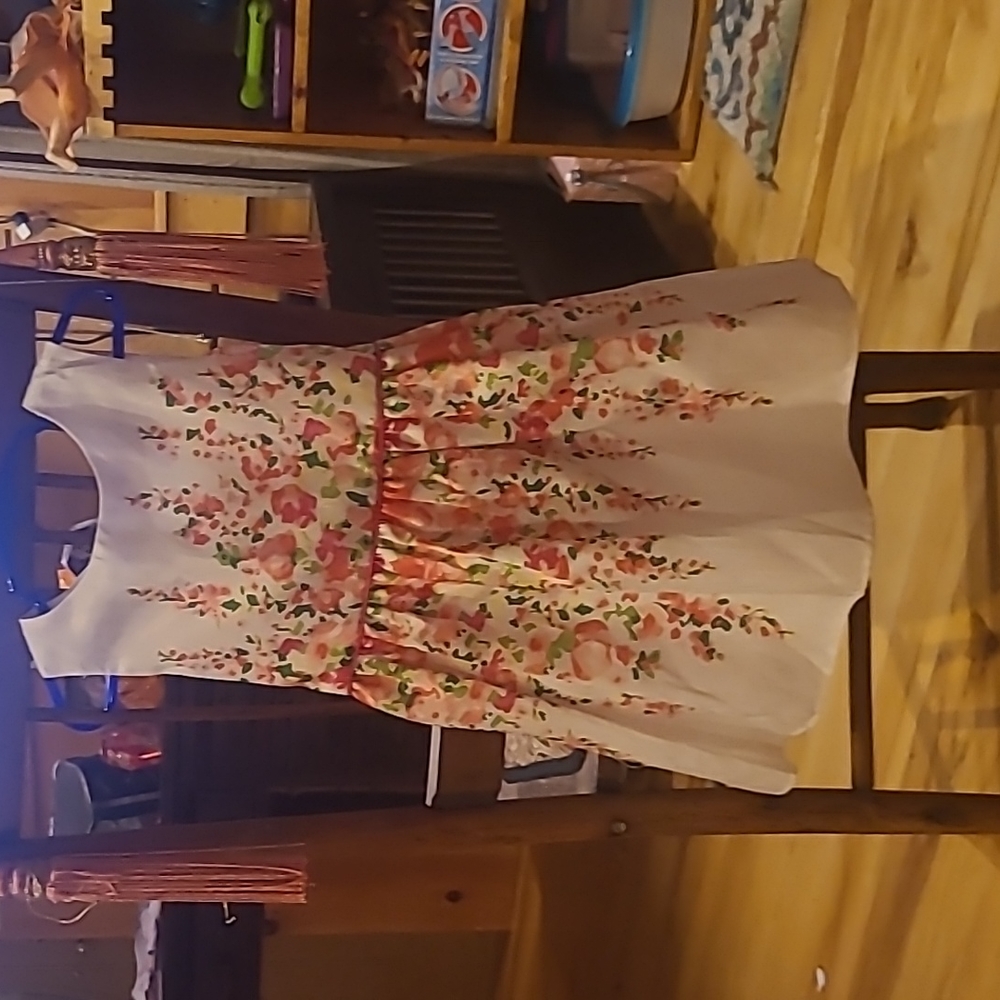Girls 4T spring dress